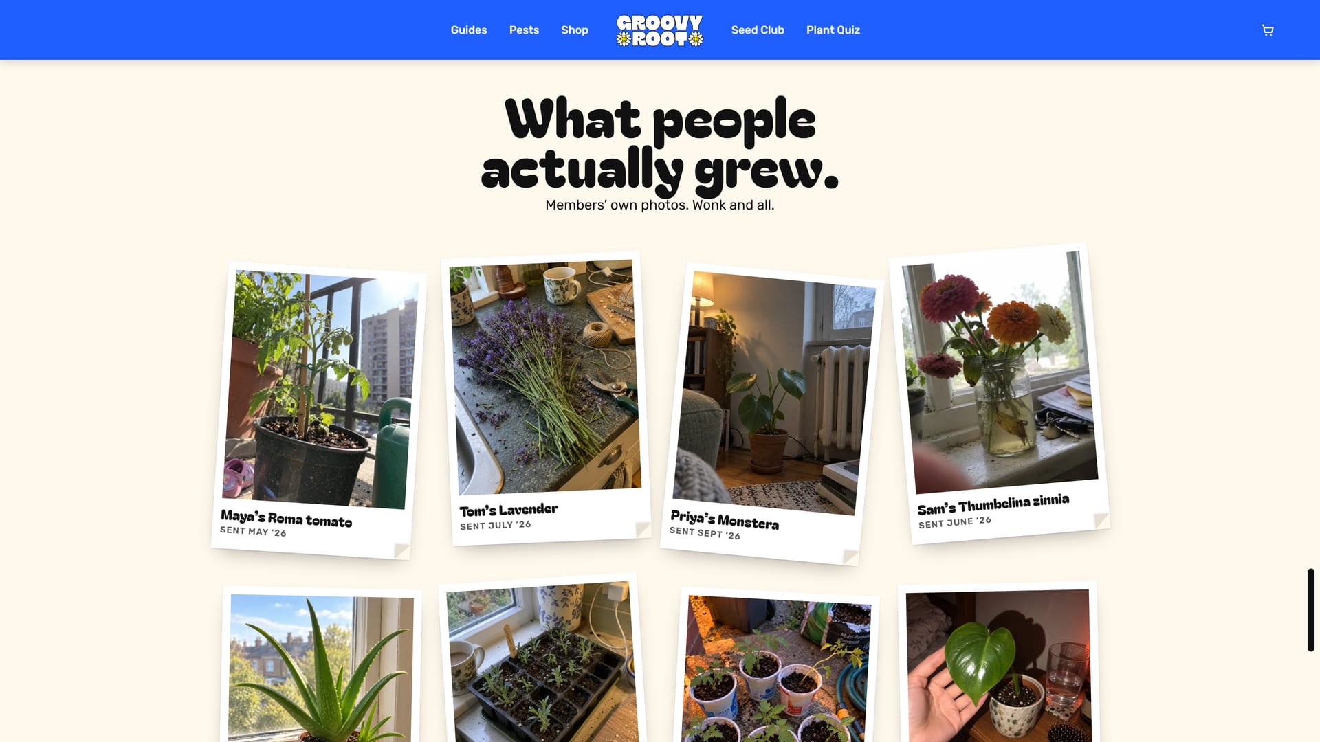 “What people actually grew.” Member photos pinned like polaroids: tomatoes, lavender, a monstera, zinnias